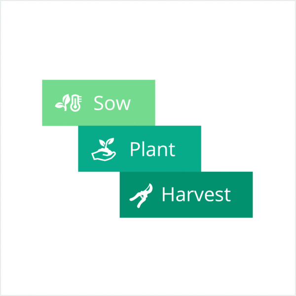 Sow, plant, harvest