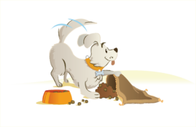 Perro lucky dog escondiendo croquetas.