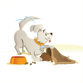 Perro lucky dog escondiendo croquetas.